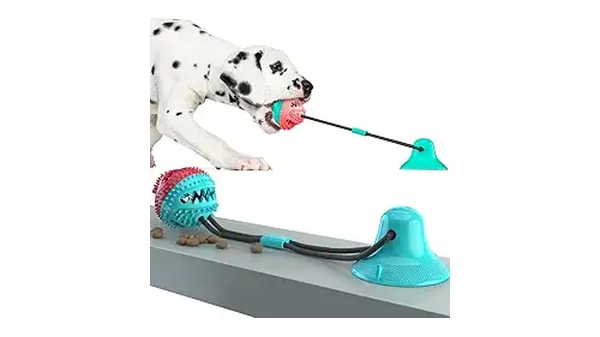 7 Melhores Brinquedos para Border Collie: Diversão e Treino