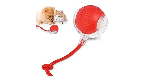15 Melhores Brinquedos para Cachorro: Escolha o Ideal!