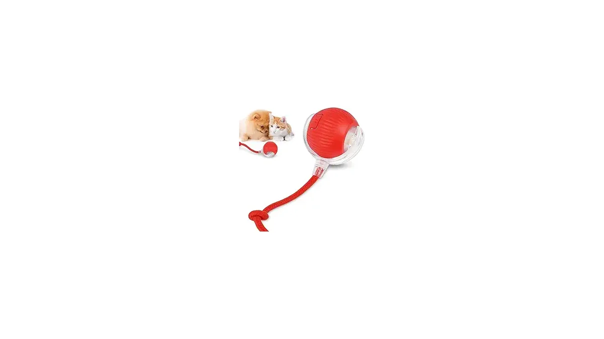 Melhores Brinquedos para Cachorro: Escolha o Ideal!