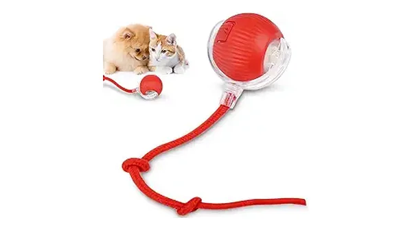 7 Melhores Brinquedos Interativos para Gatos Divertidos