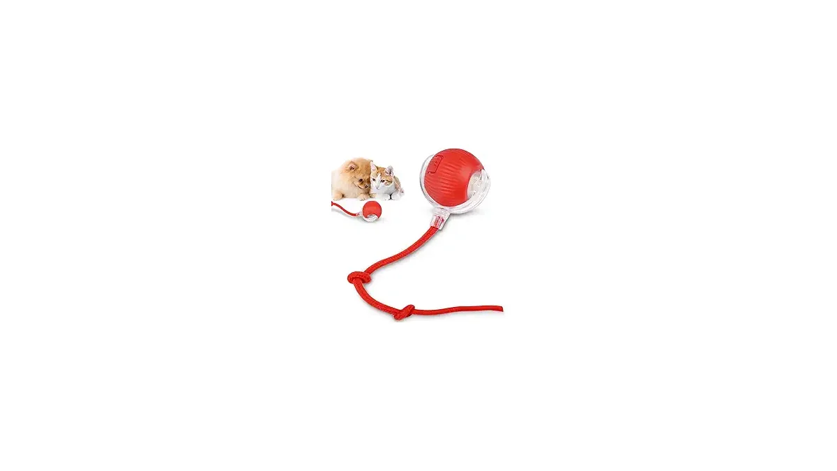 Melhores Brinquedos Interativos para Gatos Divertidos
