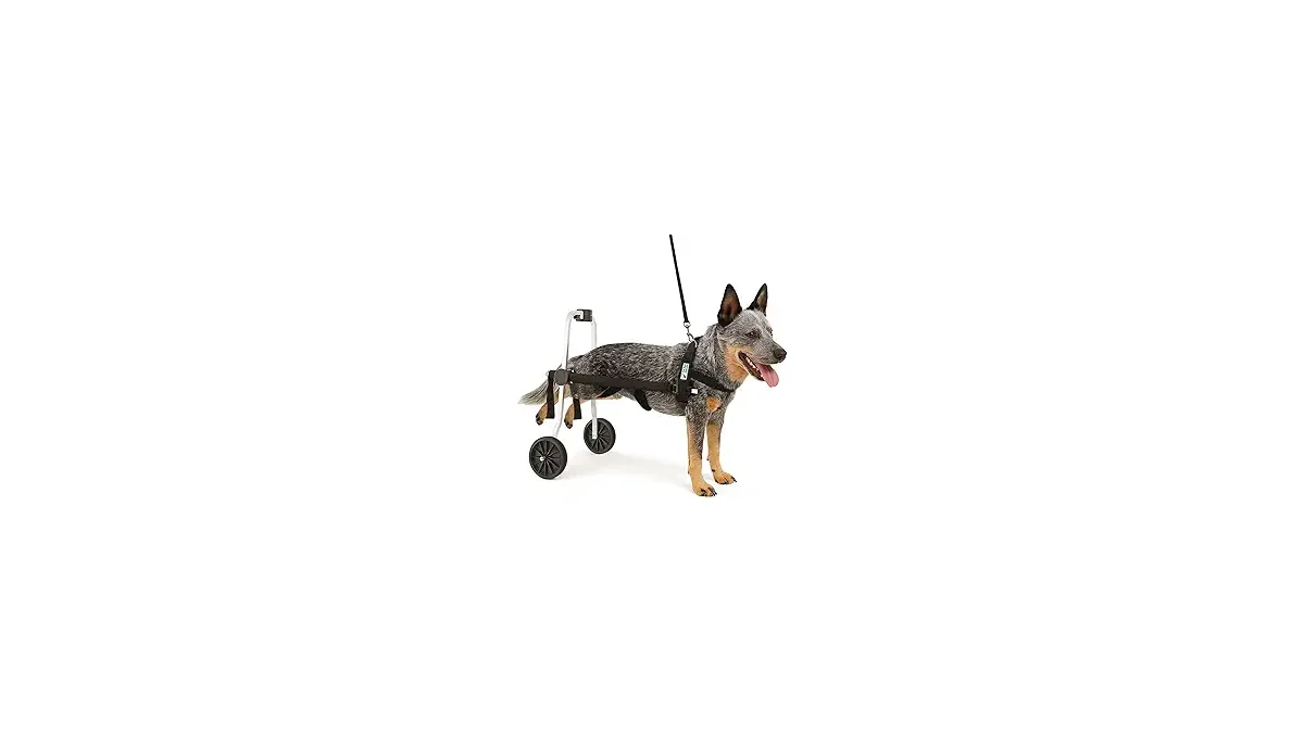 Melhores Cadeiras de Rodas para Cachorros
