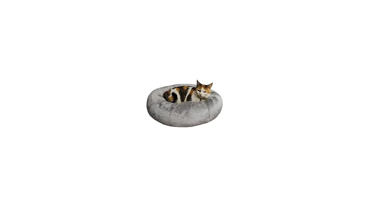 Melhores Camas para Gato: Conforto e Segurança Garantidos