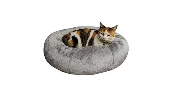 8 Melhores Camas para Gatos: Conforto e Segurança Total