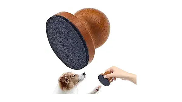 Melhores Lixas de Unha para Cachorros: Cuide das Patas!
