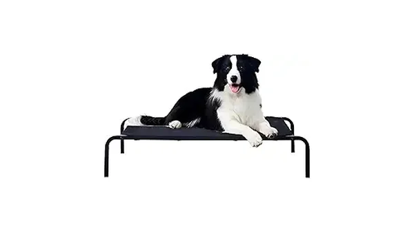 Melhores Materiais para Cama de Cachorro que Seu Pet Vai Amar