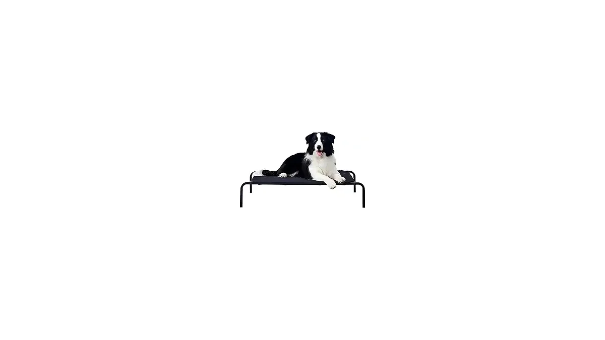Melhores Materiais para Cama de Cachorro que Seu Pet Vai Amar