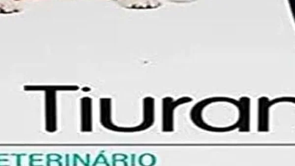 10 Melhores Sabonetes para Tratar Sarna em Cachorros