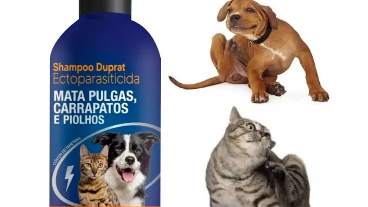 Melhores Shampoos Anti Pulgas para Gatos