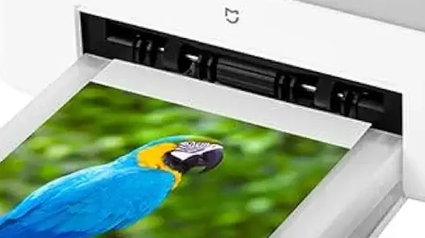 4 Melhores Xiaomi para Capturar Momentos Incríveis!