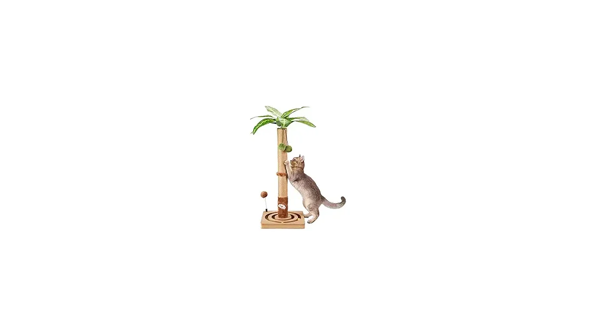 Melhores Arranhadores com Brinquedos Pendurados para Gatos