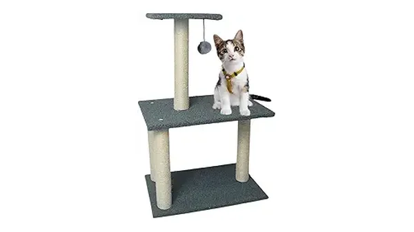 10 Melhores Arranhadores de Sisal com Brinquedo para Gatos