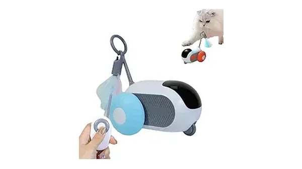 9 Melhores Brinquedos de Caça Para Gatos que Seu Pet Vai Amar