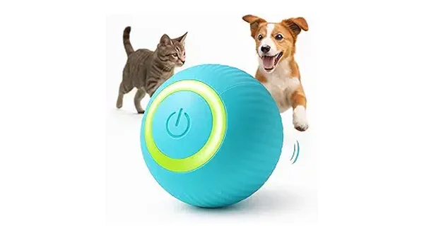 10 Melhores Brinquedos Interativos Para Gatos Sozinhos