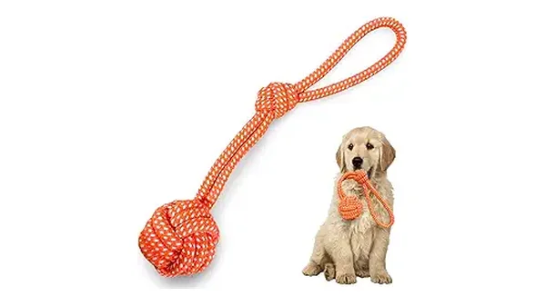 3 Melhores Brinquedos de Corda para Cães que Desatam Nós