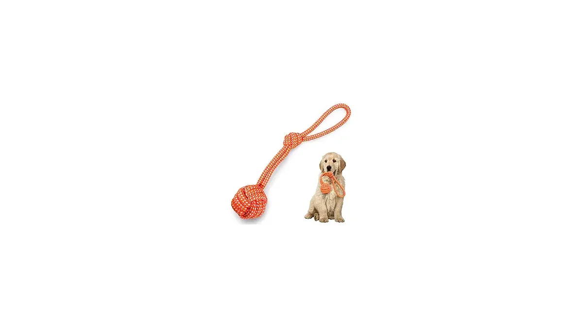 Melhores Brinquedos de Corda para Cães que Desatam Nós