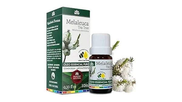 9 Melhores Óleos de Melaleuca: Puro ou Diluído? Descubra!