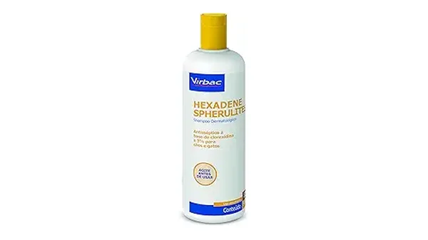 Melhores Shampoos Para Cães Idosos Que Você Precisa Conhecer