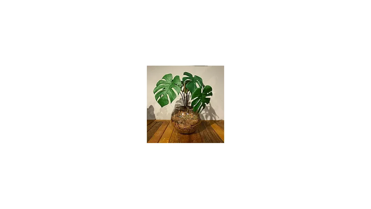 Melhores Plantas Artificiais para Decorar sua Mesa de Jantar