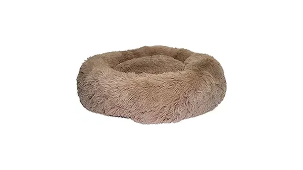Melhores Camas para Gatos: Conforto do Iglu à Rede