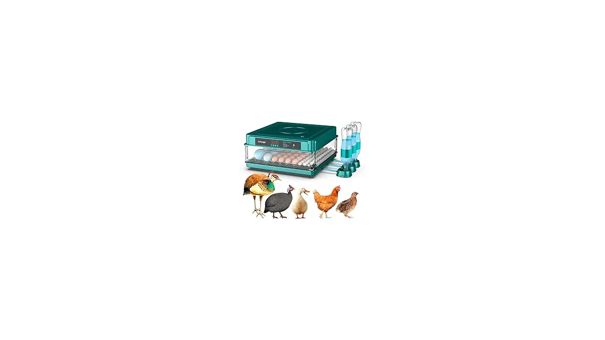 Melhores Chocadeiras: De Mini a 130 Ovos para Você
