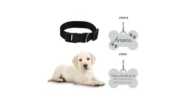Melhores Coleiras Para Cachorro com Nome e Telefone