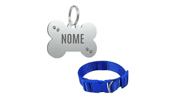 Melhores Coleiras Para Cachorro com Nome e Telefone Gravados