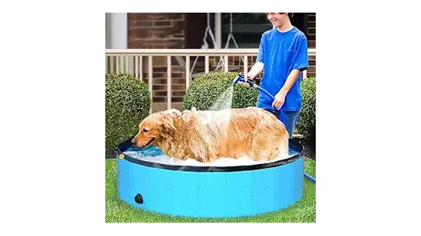 Melhores Piscinas Para Cachorros: As Melhores Opções!