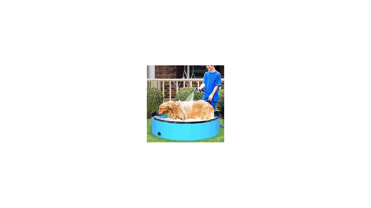 Melhores Piscinas Para Cachorros: As Melhores Opções!