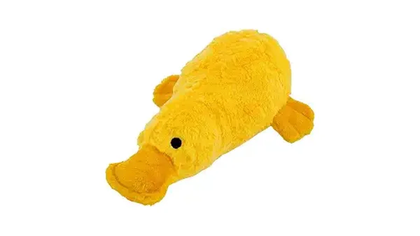 Melhores Brinquedos com Som para Cães que Encantam