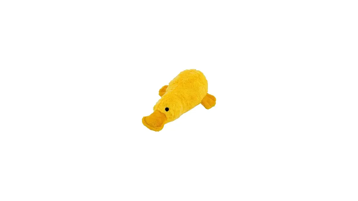 Melhores Brinquedos com Som para Cães que Encantam